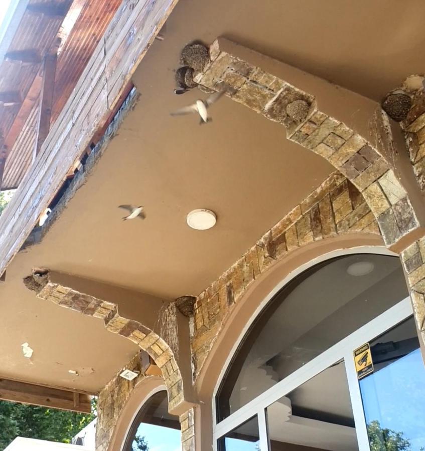 Hotel Piccolino شكودر المظهر الخارجي الصورة